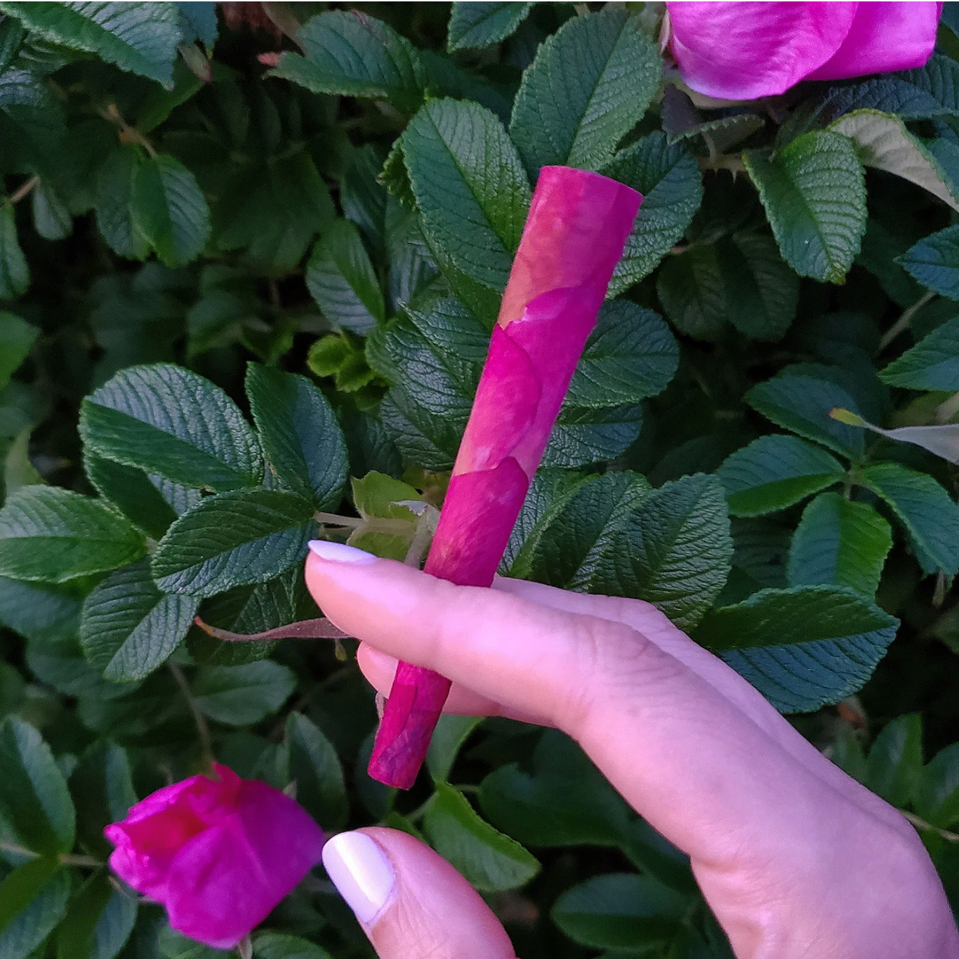 Puff Herbals: Rose Cones